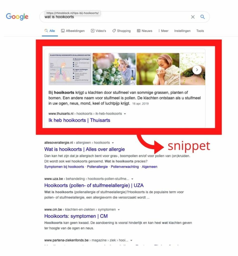 SEO basics featured snippet